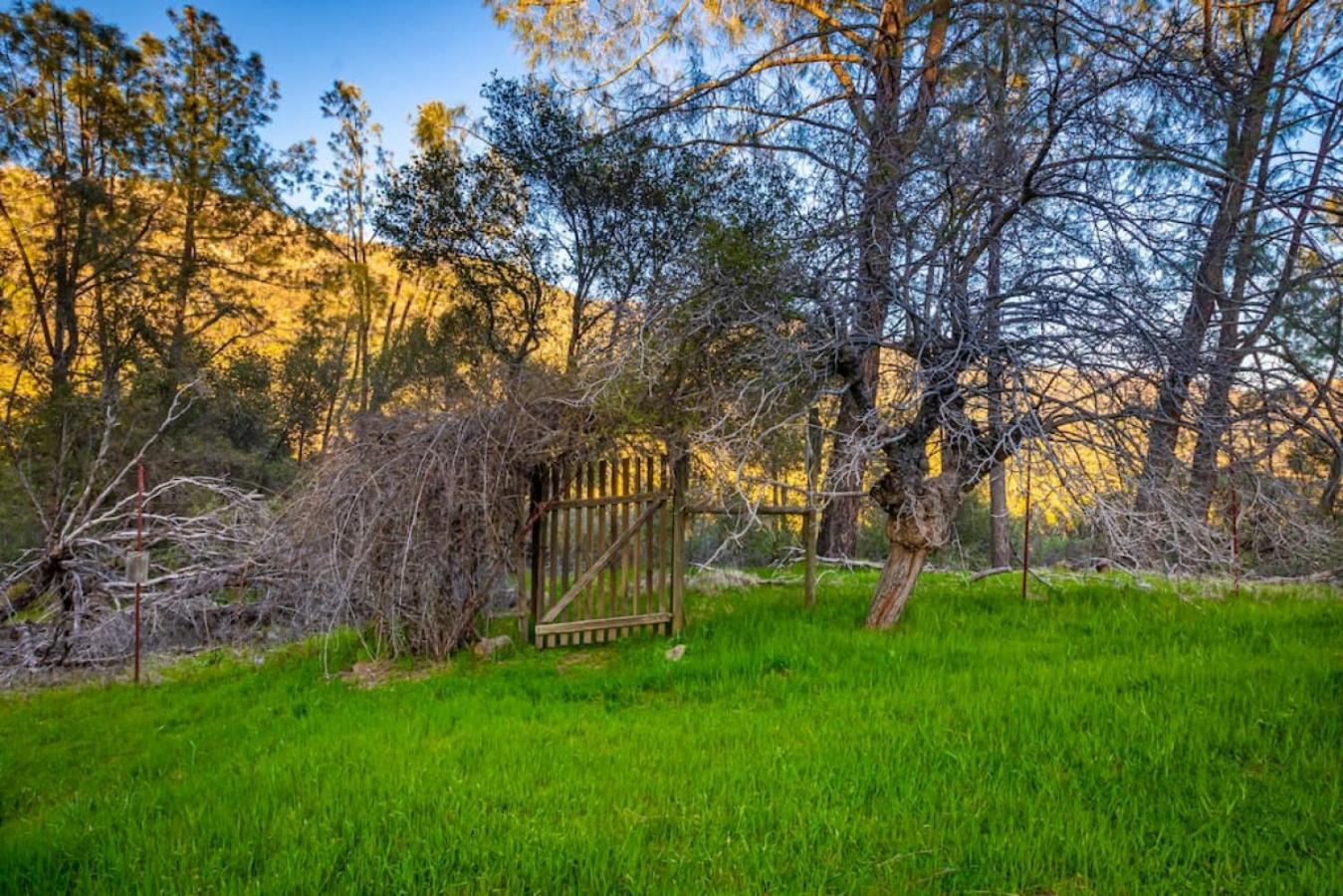 Sierra Vista Lookout Lodge With Creek, Waterfall And Waterholes, Minutes From Bass Lake And Yosemite South Gate North Fork Eksteriør bilde