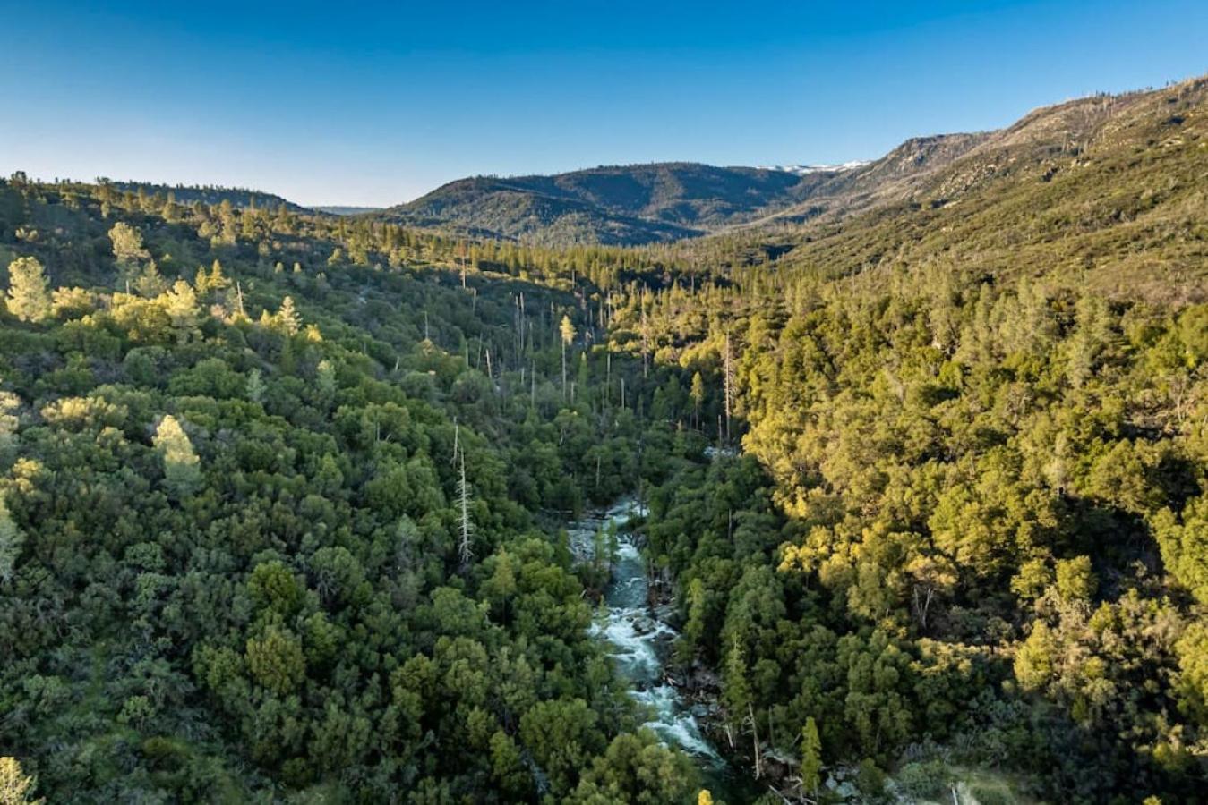 Sierra Vista Lookout Lodge With Creek, Waterfall And Waterholes, Minutes From Bass Lake And Yosemite South Gate North Fork Eksteriør bilde